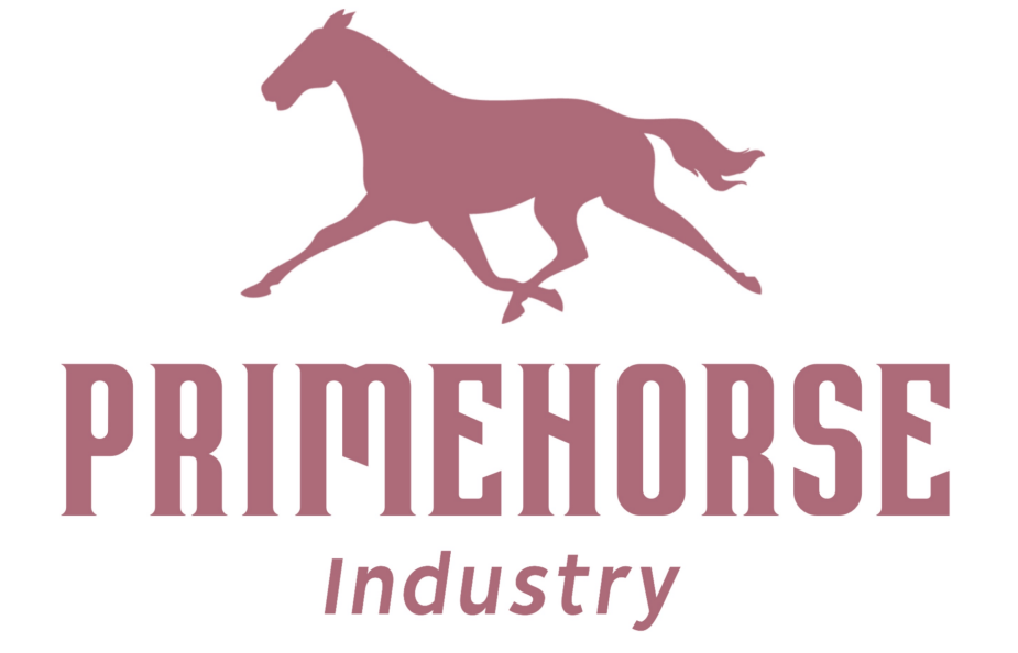 palegreen-aardvark-972688.hostingersite.com